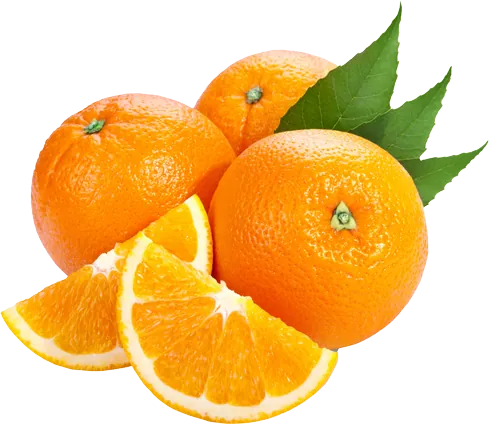 Navel Oranges exported from Egypt